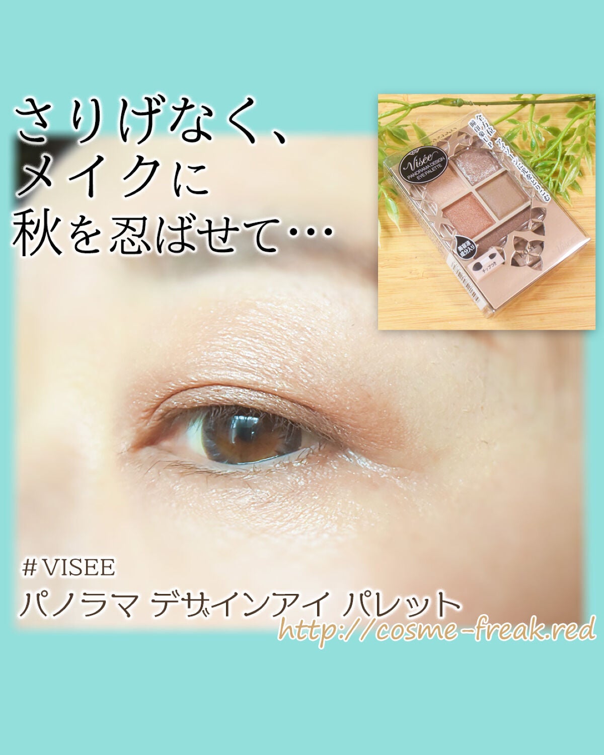 パノラマデザイン アイパレット/Visée/アイシャドウパレットを使ったクチコミ(1枚目)