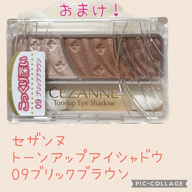 ブラウンメイクセット  LIPSフェスタ Winter 2023/LIPS/メイクアップキットを使ったクチコミ（9枚目）