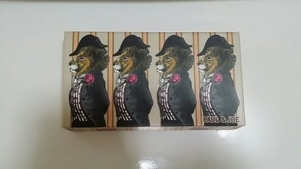 リップケースBOX/PAUL & JOE BEAUTE/その他化粧小物を使ったクチコミ(3枚目)