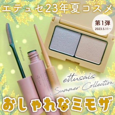 アイエディション(カラーパレット)/ettusais/アイシャドウパレットを使ったクチコミ（1枚目）