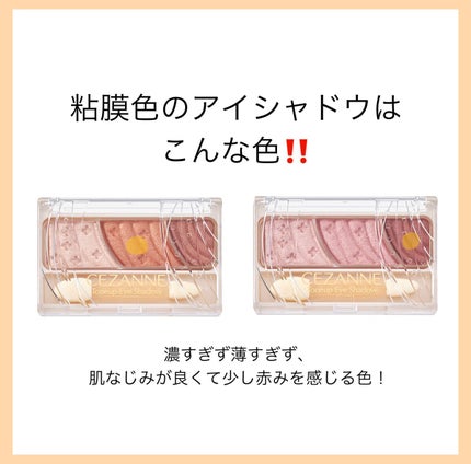 トーンアップアイシャドウ/CEZANNE/アイシャドウパレットを使ったクチコミ(5枚目)