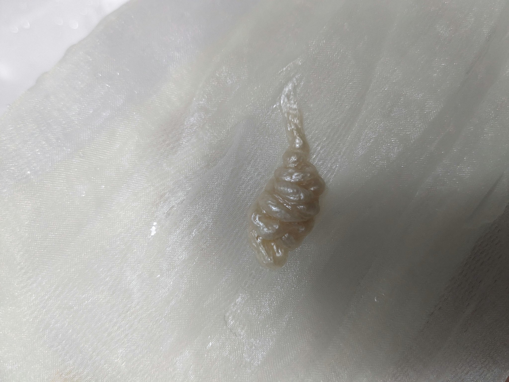 レット ミー リフレッシュ フォームクレンザー/SIORIS/洗顔フォームを使ったクチコミ（2枚目）