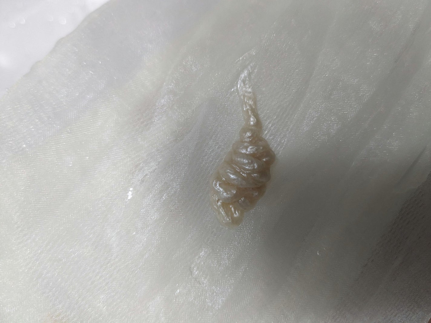 レット ミー リフレッシュ フォームクレンザー/SIORIS/洗顔フォームを使ったクチコミ(2枚目)