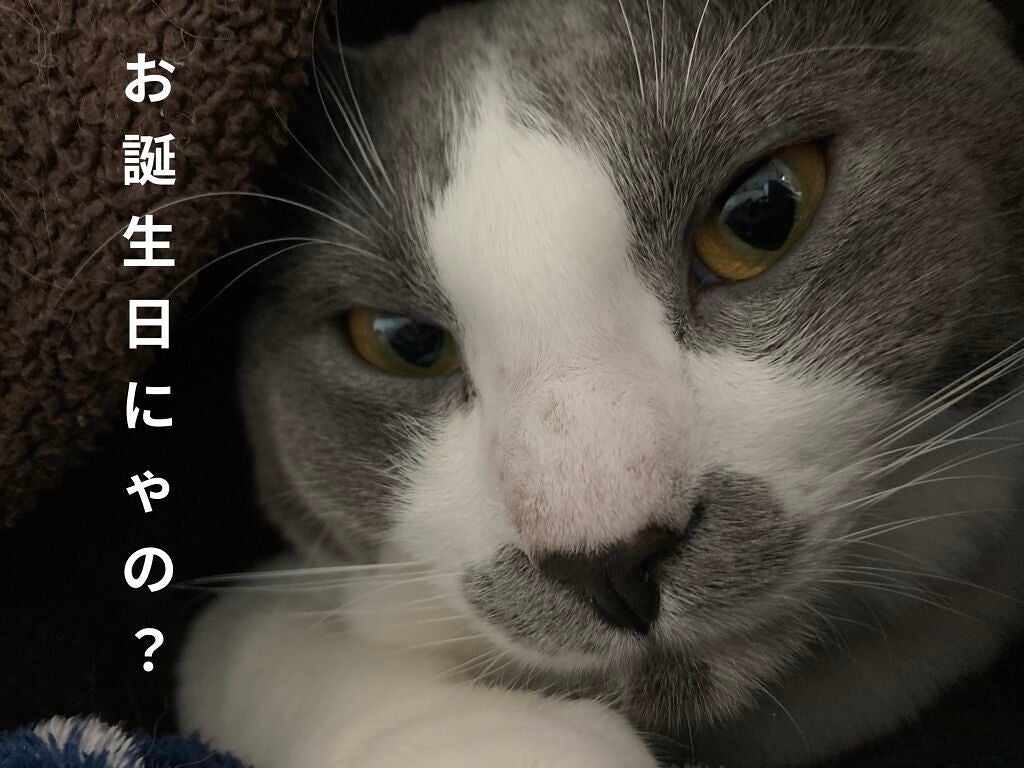 ソレイユ アイ カラー クォード/TOM FORD BEAUTY/アイシャドウパレットを使ったクチコミ(5枚目)