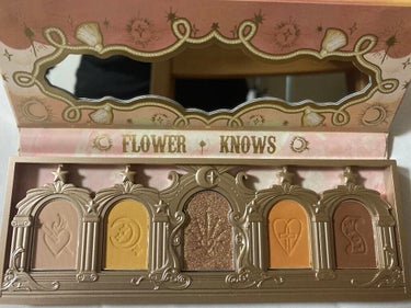 ユニコーンシリーズ アイシャドウパレット/FlowerKnows/アイシャドウパレットを使ったクチコミ（2枚目）