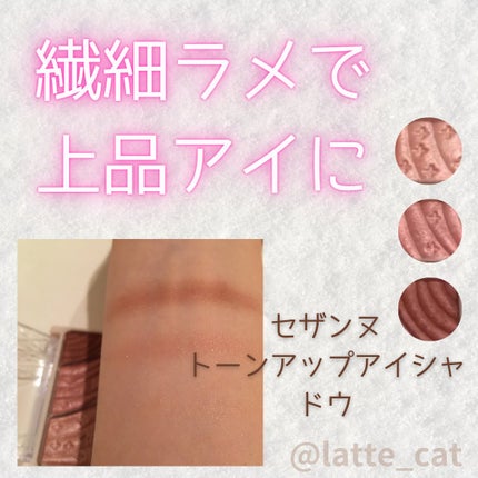 トーンアップアイシャドウ/CEZANNE/アイシャドウパレットを使ったクチコミ(1枚目)