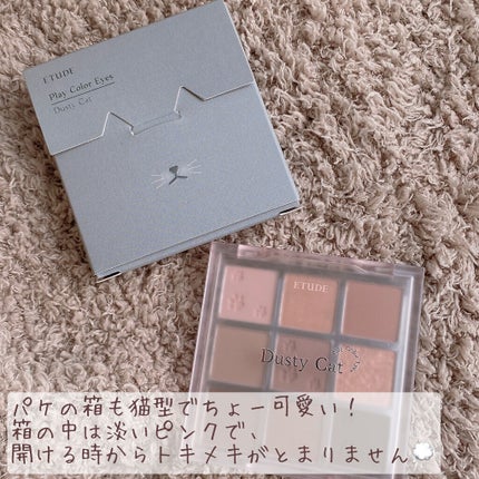 プレイカラーアイズ ダスティキャット/ETUDE/アイシャドウパレットを使ったクチコミ(2枚目)