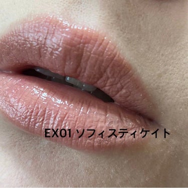 プランプメロウリップス EX01 Sophisticate/LUNASOL/口紅を使ったクチコミ（3枚目）