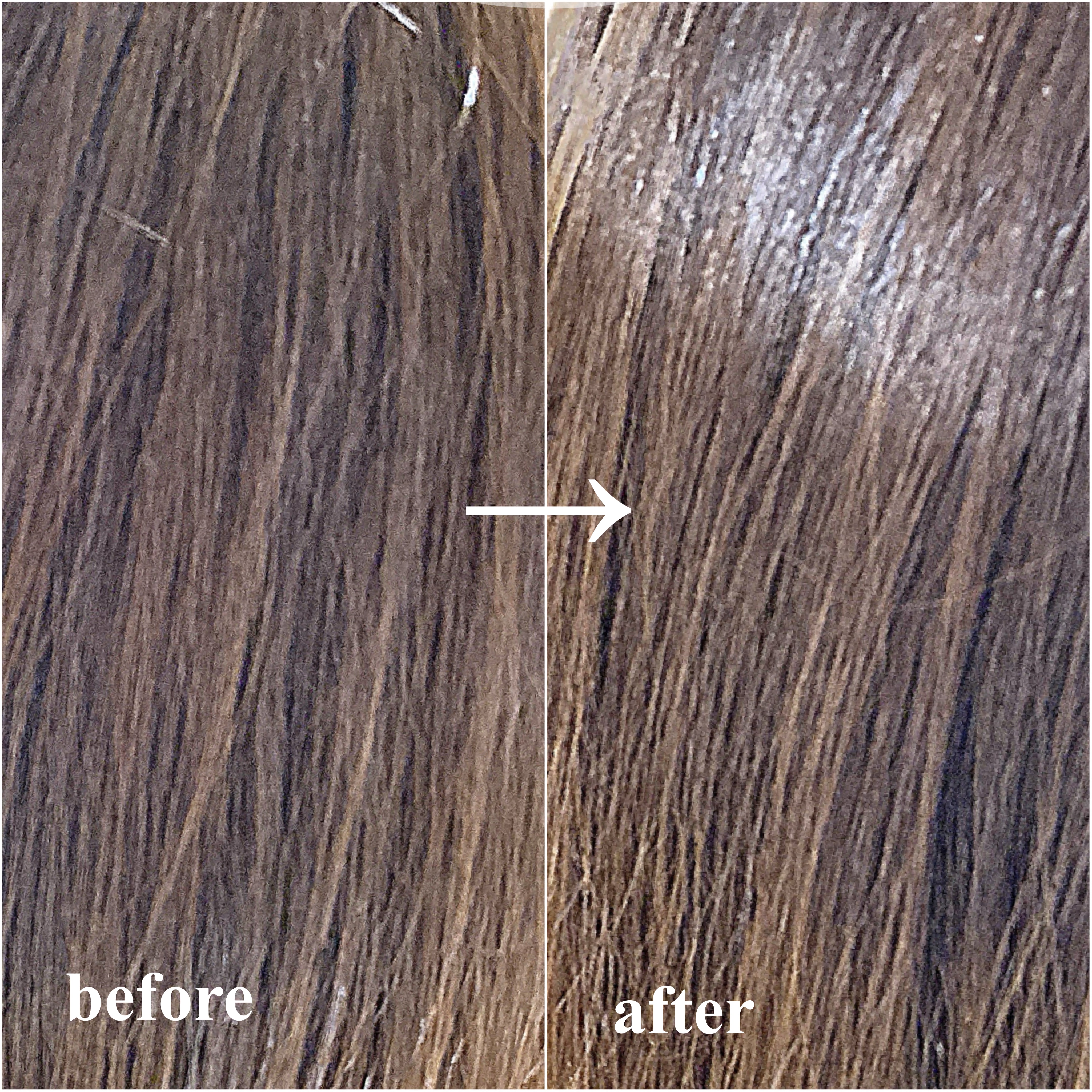 TSUBAKI ＴＳＵＢＡＫＩ　オイルフォース Mのクチコミ「#提供
#TSUBAKI  #ヘアオイル 


TSUBAKIのＴＳＵＢＡＫＩ　オイルフォース.....」（3枚目）