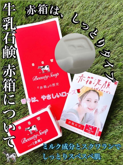 赤箱 (しっとり)/カウブランド/洗顔石鹸を使ったクチコミ(1枚目)