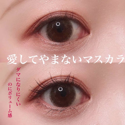 「塗るつけまつげ」ボリュームタイプ/デジャヴュ/マスカラを使ったクチコミ(1枚目)