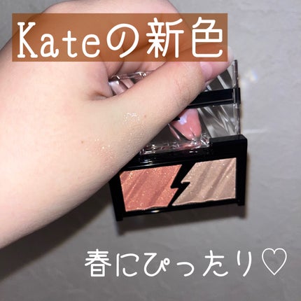 エレクトリックショックアイズ /KATE/アイシャドウパレットを使ったクチコミ(1枚目)
