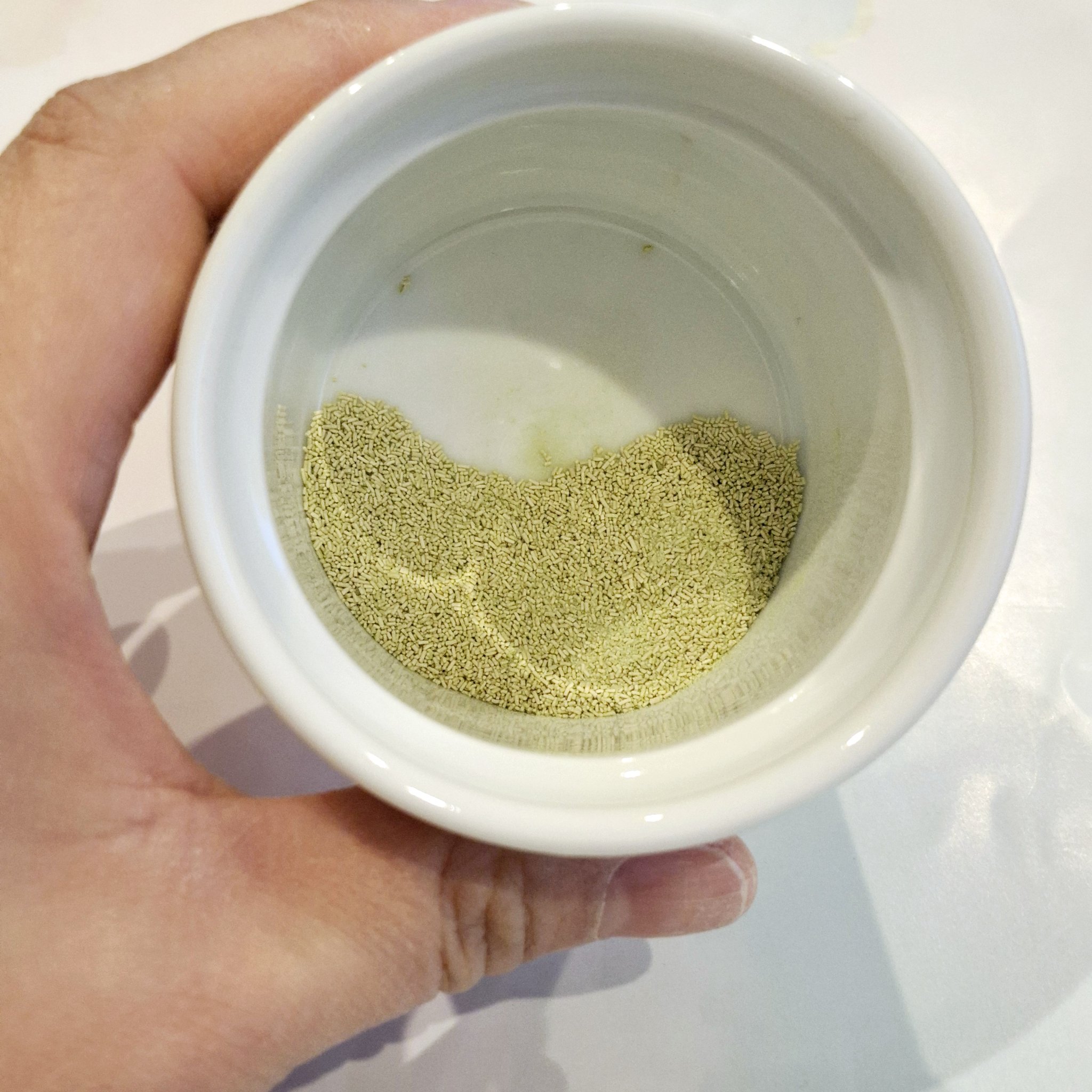 生きてる酵母＋食物繊維/生きてる酵母シリーズ/ボディサプリメントを使ったクチコミ（3枚目）