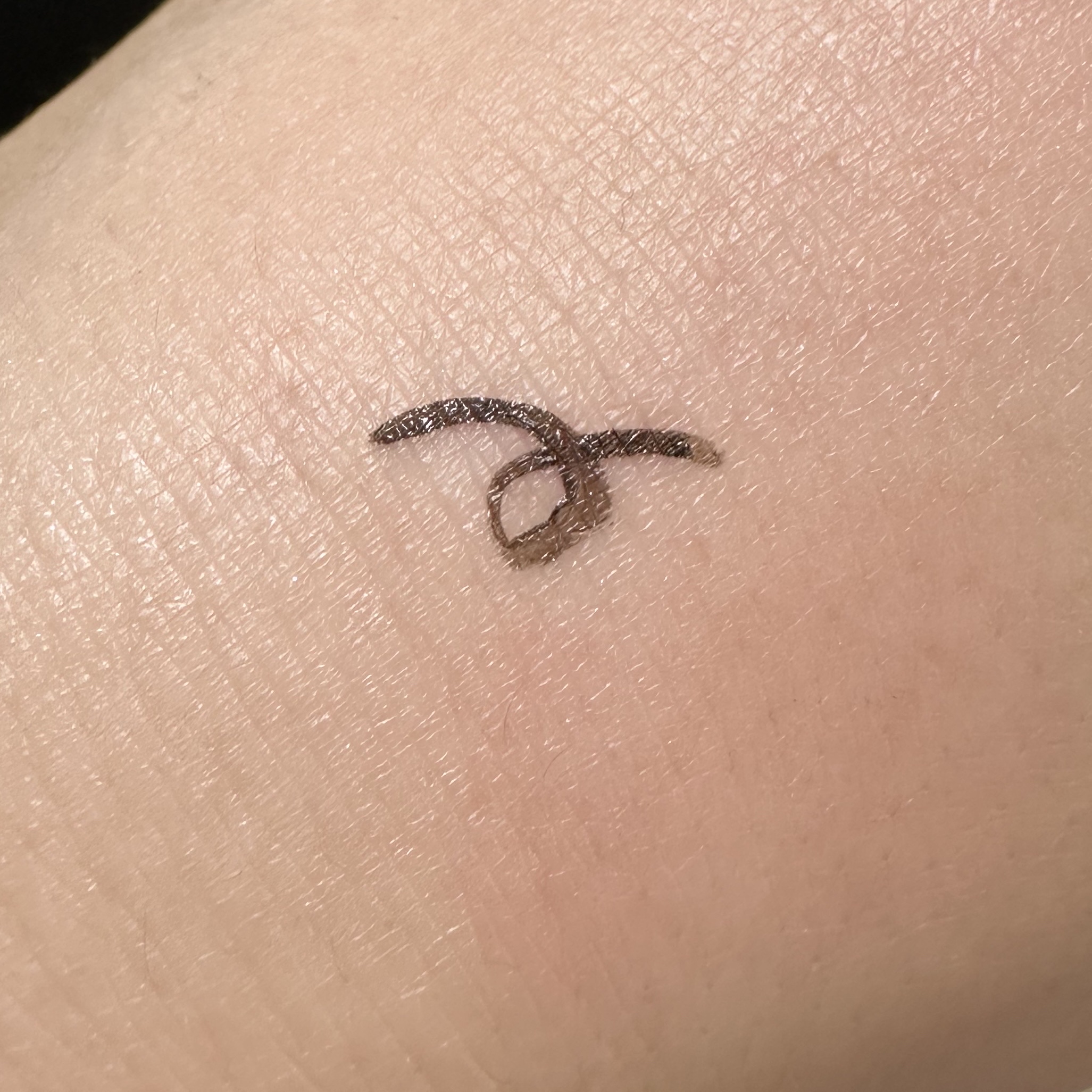 「密着アイライナー」ショート筆リキッド ブラックブラウン/デジャヴュ/リキッドアイライナーを使ったクチコミ（3枚目）