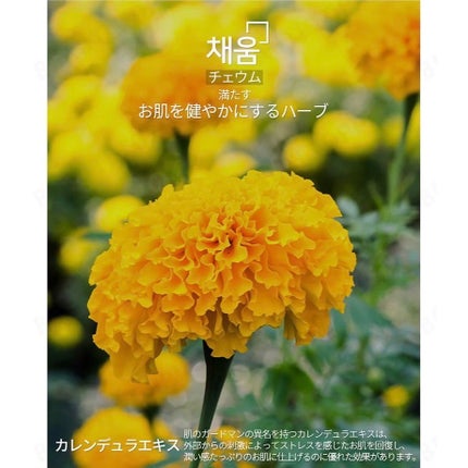 スキンケアトナー/CHAEB GONGGAN/化粧水を使ったクチコミ(6枚目)