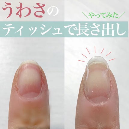 を使ったクチコミ(1枚目)