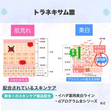 モイストケア ローション MB/d プログラム/化粧水を使ったクチコミ（3枚目）