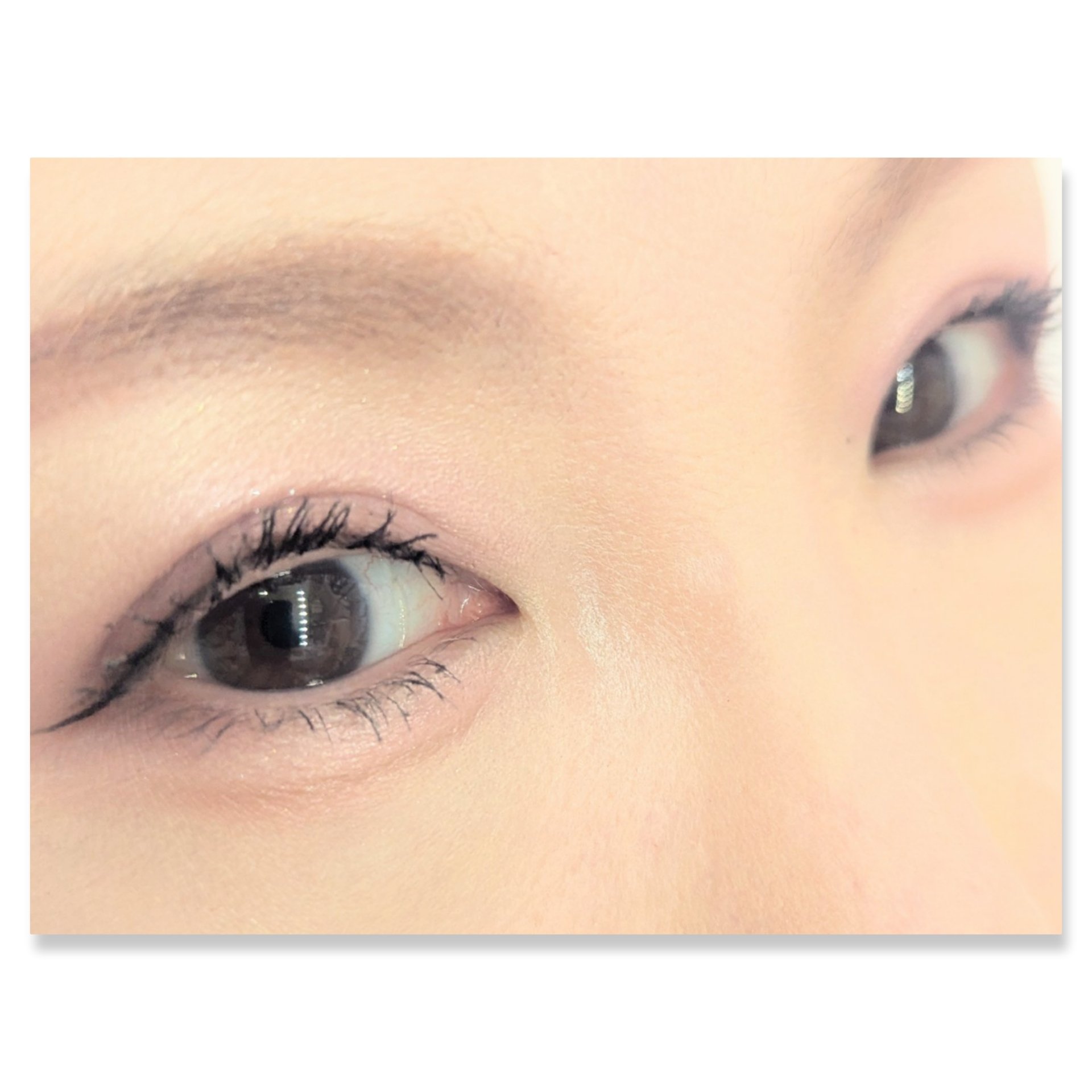 ベージュトーンアイシャドウ/CEZANNE/アイシャドウパレットを使ったクチコミ（2枚目）