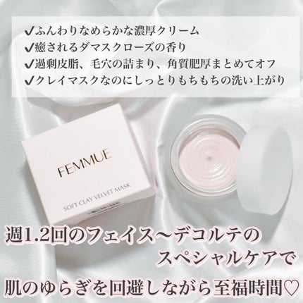 ソフトクレイ ベルベットマスク/FEMMUE/洗い流すパック・マスクを使ったクチコミ(2枚目)