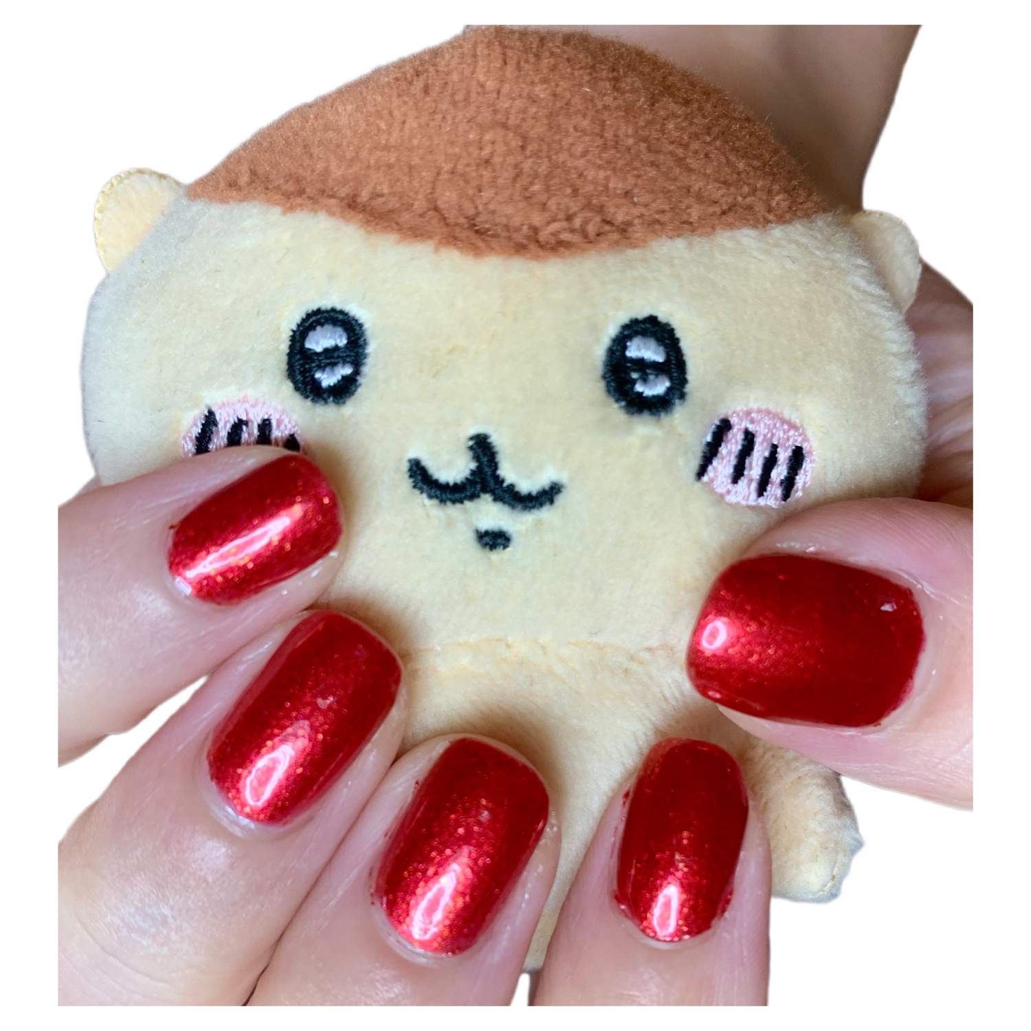 カラフルネイルズ N109 紅葉狩り/キャンメイク/マニキュアを使ったクチコミ（1枚目）