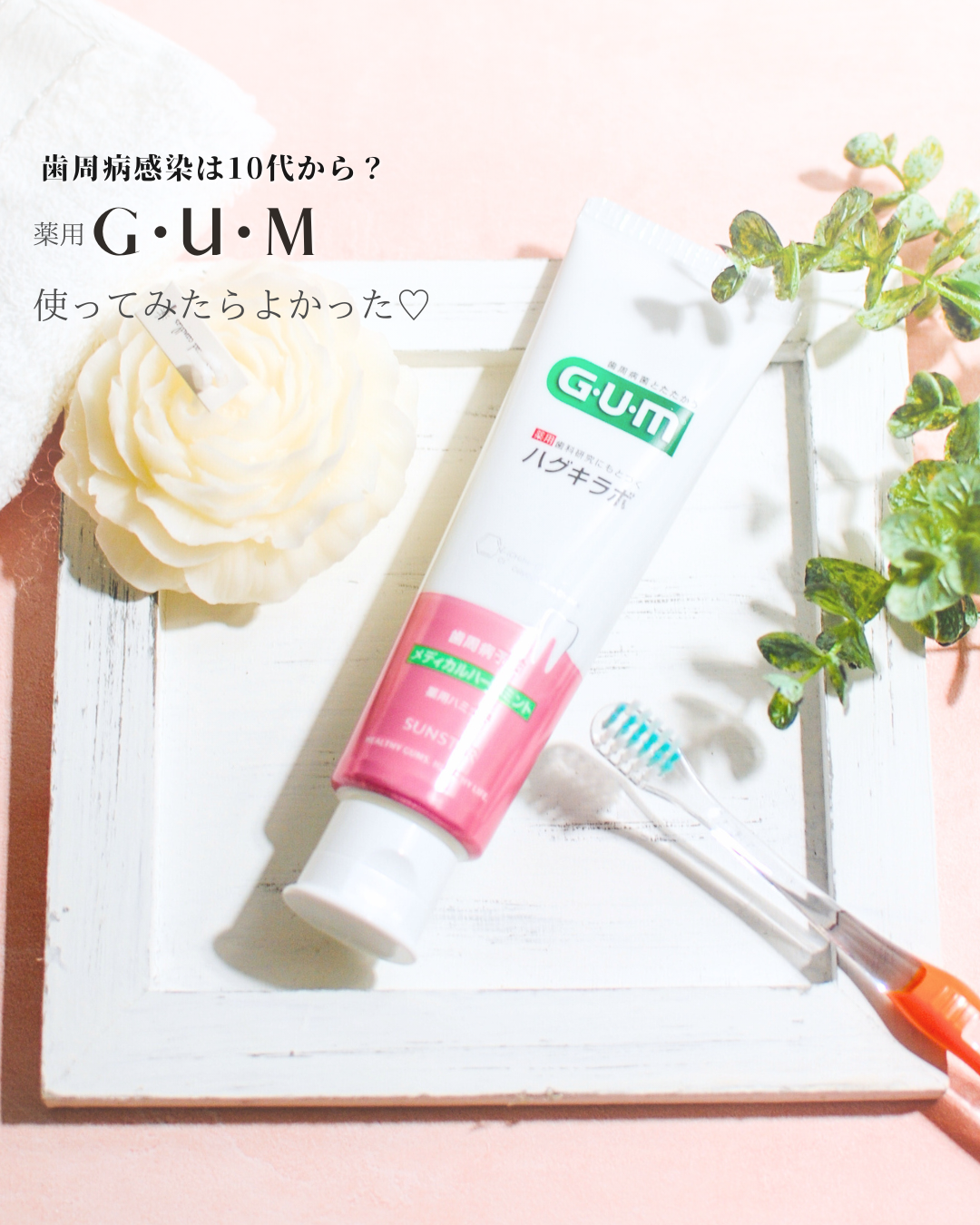 ガム・ハグキラボ デンタルペースト/GUM/歯磨き粉を使ったクチコミ(1枚目)