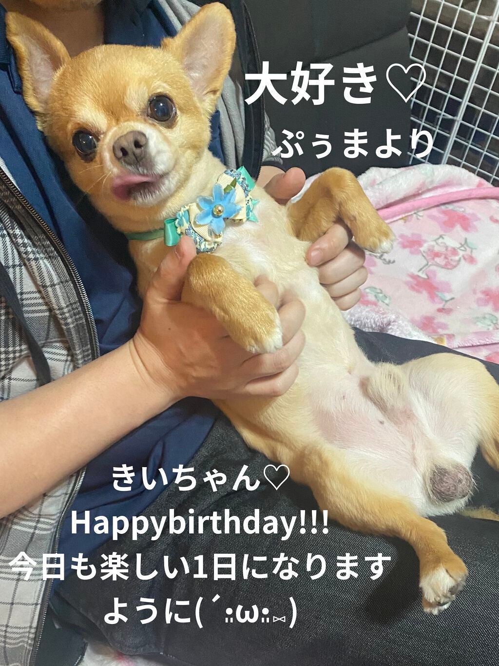 カラフルネイルズ/キャンメイク/マニキュアを使ったクチコミ(6枚目)