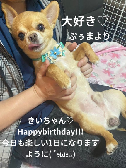 カラフルネイルズ/キャンメイク/マニキュアを使ったクチコミ(6枚目)