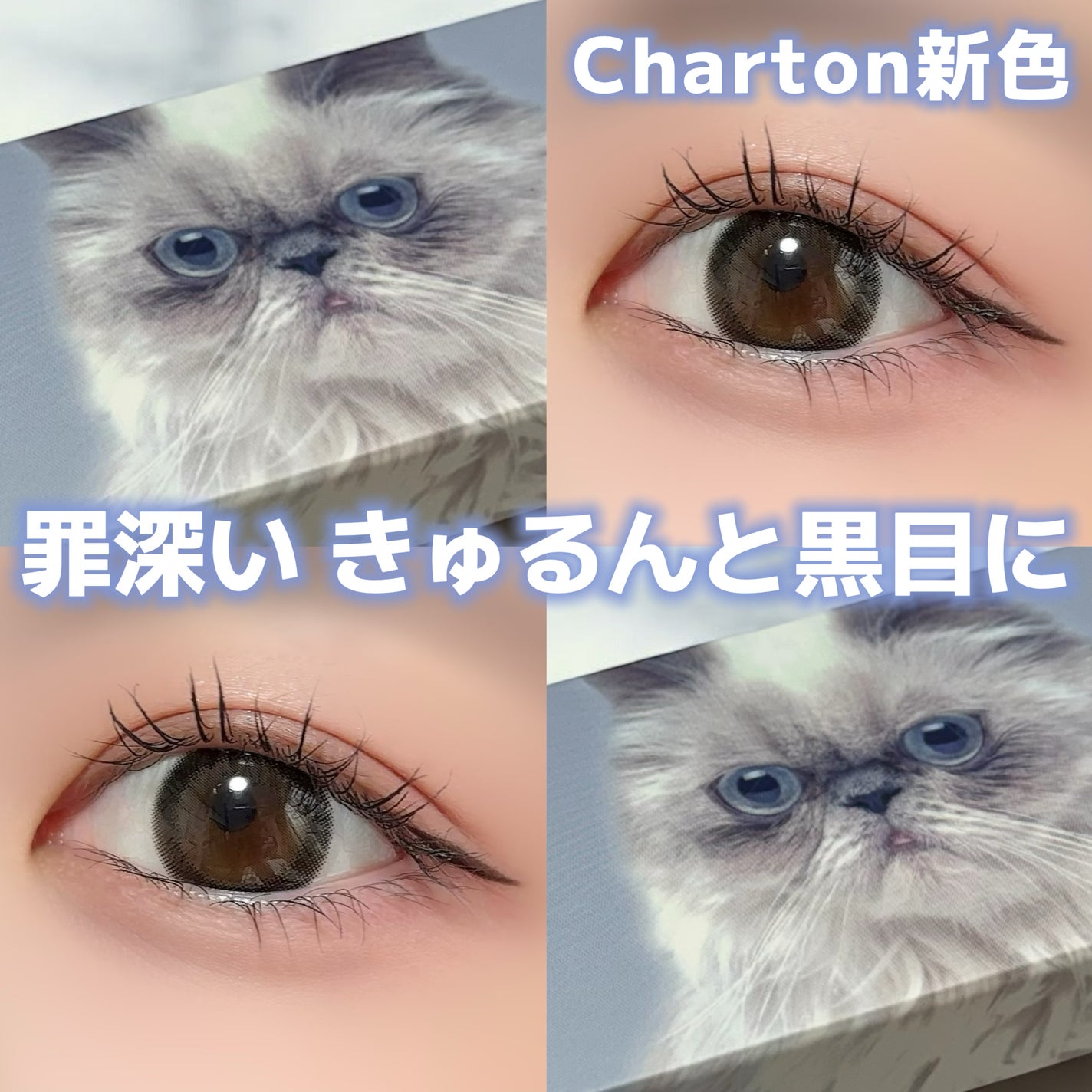 Charton 1day/Charton/ワンデー(1DAY)カラコンを使ったクチコミ(1枚目)