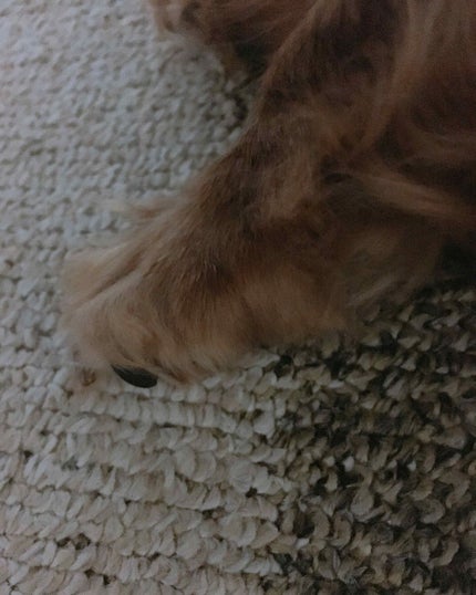 アクアレーベル アクネケア&美白水のクチコミ「アクアレーベル
『アクネケア&美白水』
容量も値段も覚えていません、、
すみません、、
記.....」(1枚目)