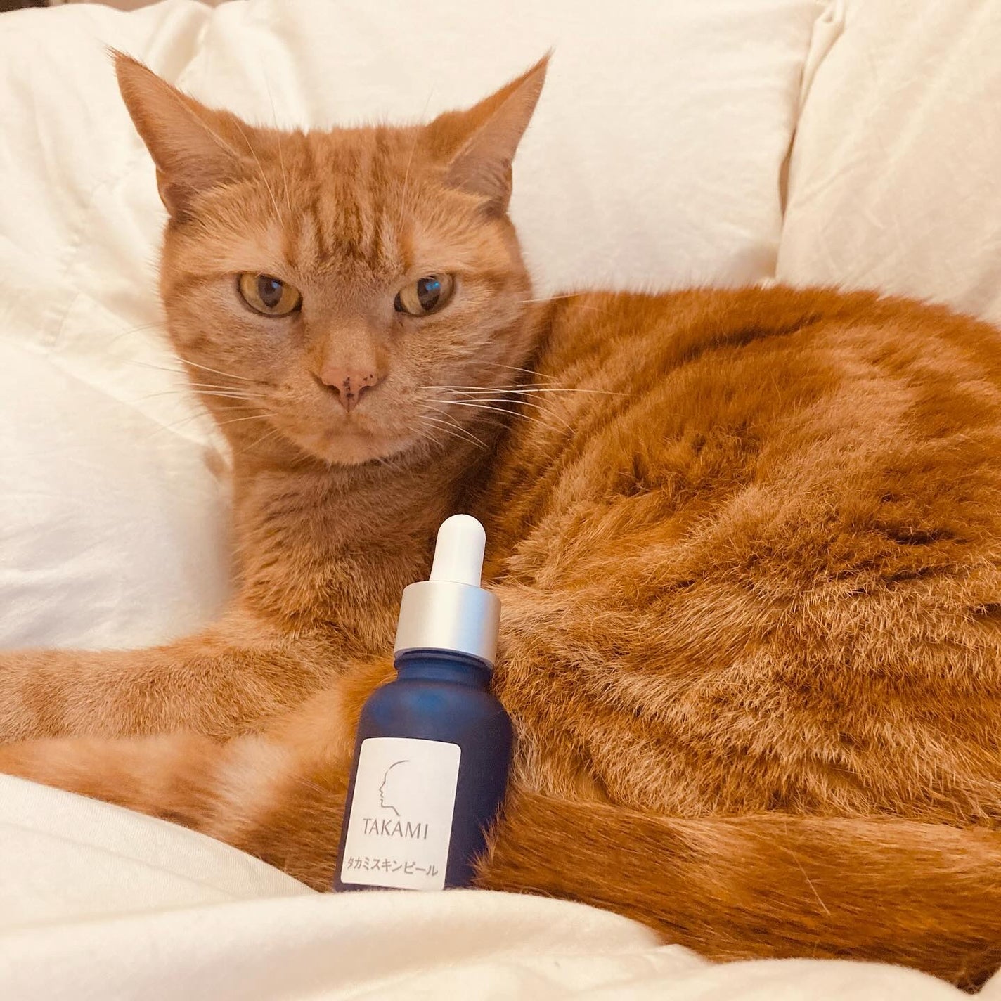 タカミスキンピール/タカミ/ブースター・導入液を使ったクチコミ(1枚目)