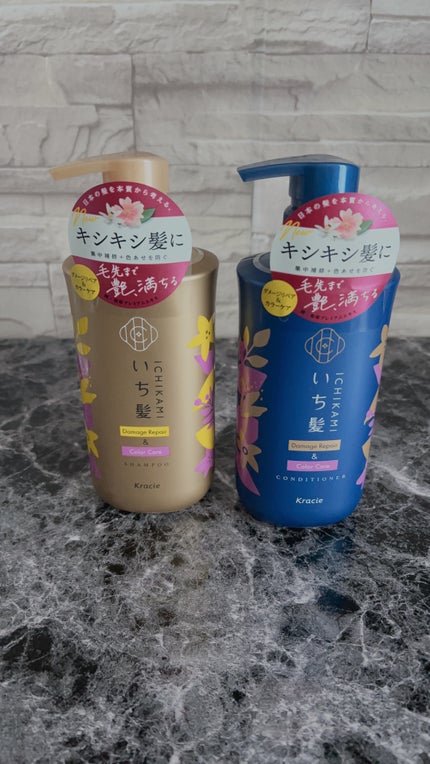 ãã¡ãŒãžãªãã¢ïŒã«ã©ãŒã±ã¢ ã·ã£ã³ããŒ/ã³ã³ãã£ã·ã§ããŒ/ãã¡é«ª/åžè²©ã·ã£ã³ããŒã䜿ã£ãã¯ãã³ãïŒ1æç®ïŒ