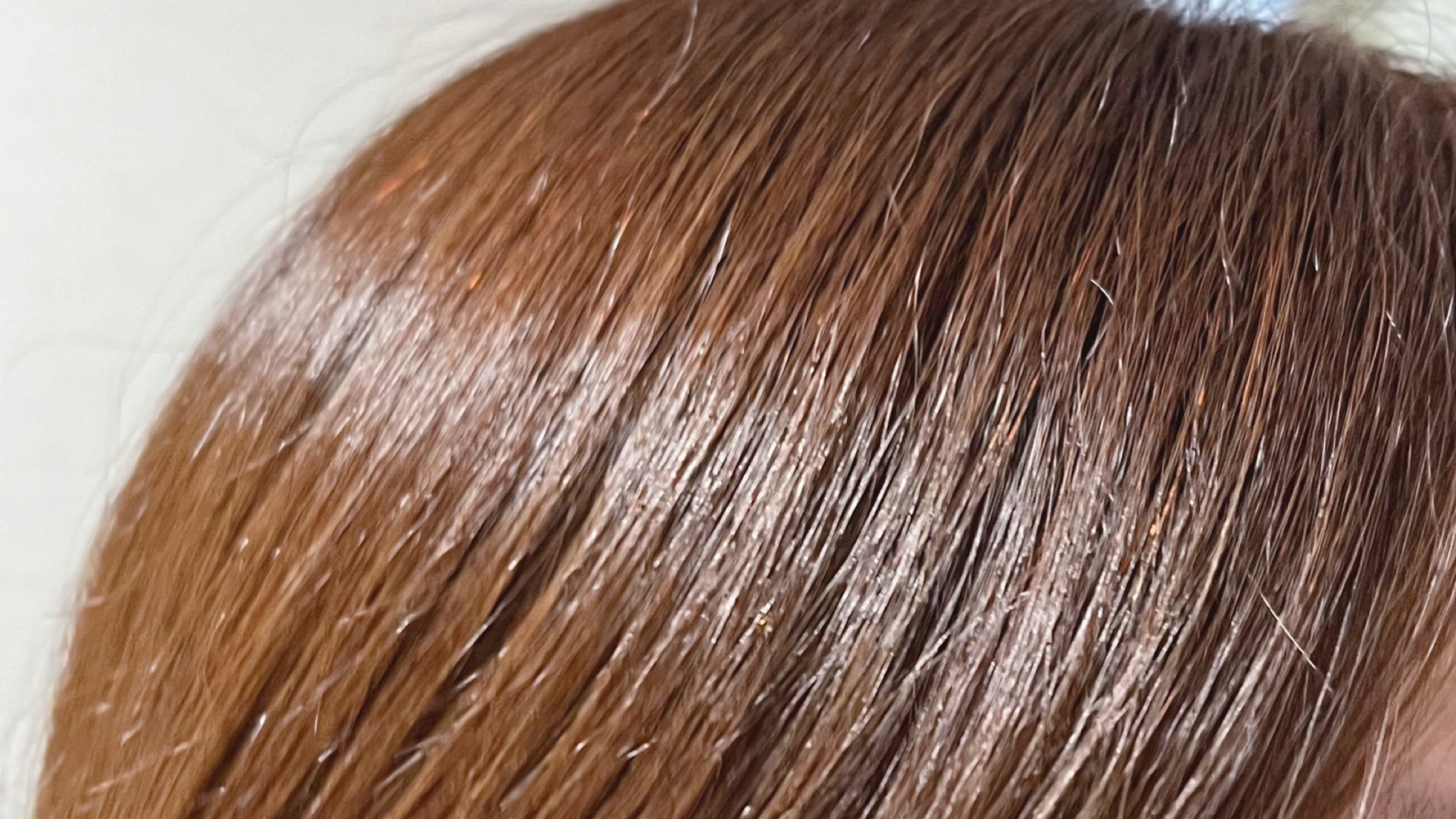 ネクサス リペア＆カラープロテクト シャンプー／トリートメント/NEXXUS(ネクサス)/市販シャンプーを使ったクチコミ（3枚目）