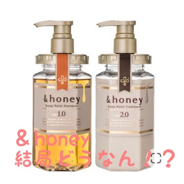 #&honey のシャンプーを4ヶ月使ってみた感想を書いていきます。
私の髪の毛は、

硬さ:剛毛
クセ:なし
長さ:胸より少し上
パーマ:ストレートカール(半年前)
カラー:黒染め(去年)
という感じ