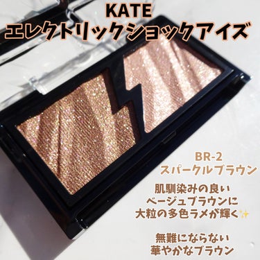 エレクトリックショックアイズ /KATE/アイシャドウパレットを使ったクチコミ（2枚目）