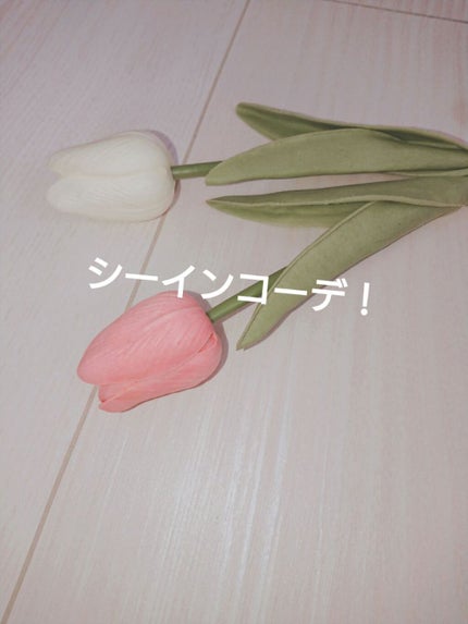 を使ったクチコミ(1枚目)