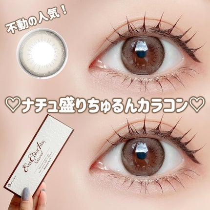 エバーカラーワンデー ナチュラル/エバーカラー/ワンデー(1DAY)カラコンを使ったクチコミ(1枚目)