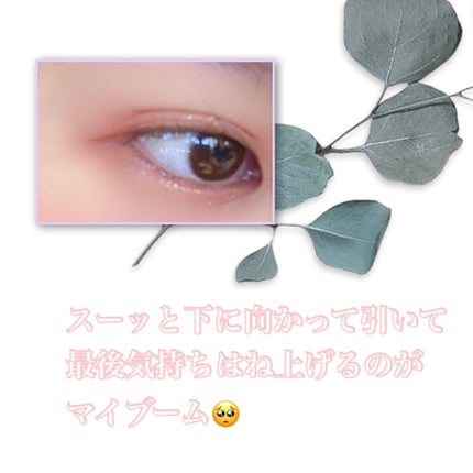 プライムリキッドアイライナー リッチキープ/ヒロインメイク/リキッドアイライナーを使ったクチコミ(2枚目)