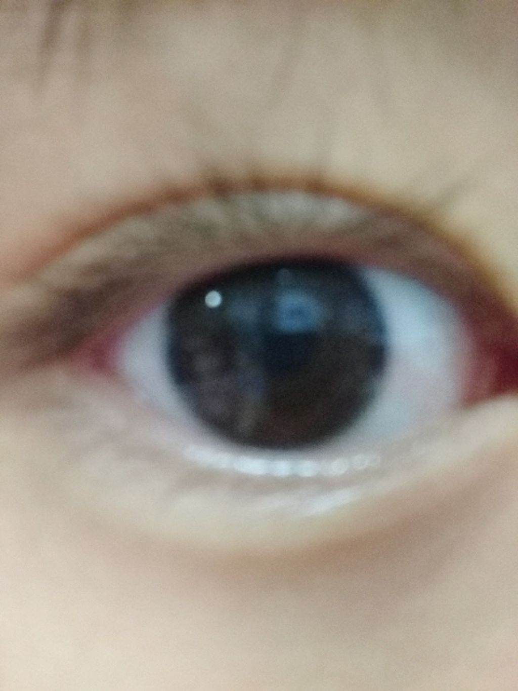 DHCアイラッシュトニック/DHC/まつげ美容液を使ったクチコミ(2枚目)