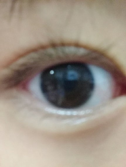 DHCアイラッシュトニック/DHC/まつげ美容液を使ったクチコミ(2枚目)