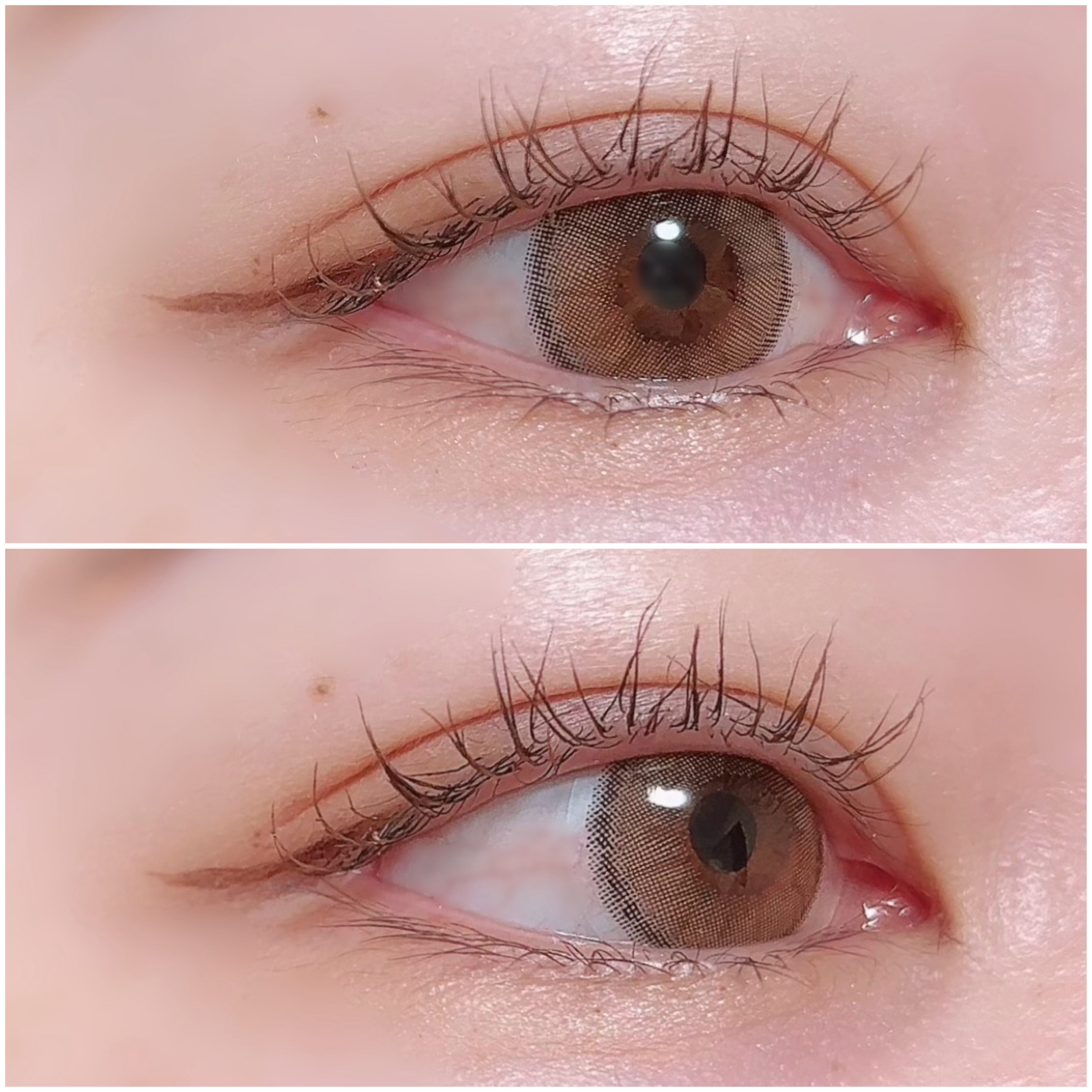 TOPARDS 1day パールキャッツアイ/TOPARDS/ワンデー（１DAY）カラコンを使ったクチコミ（3枚目）