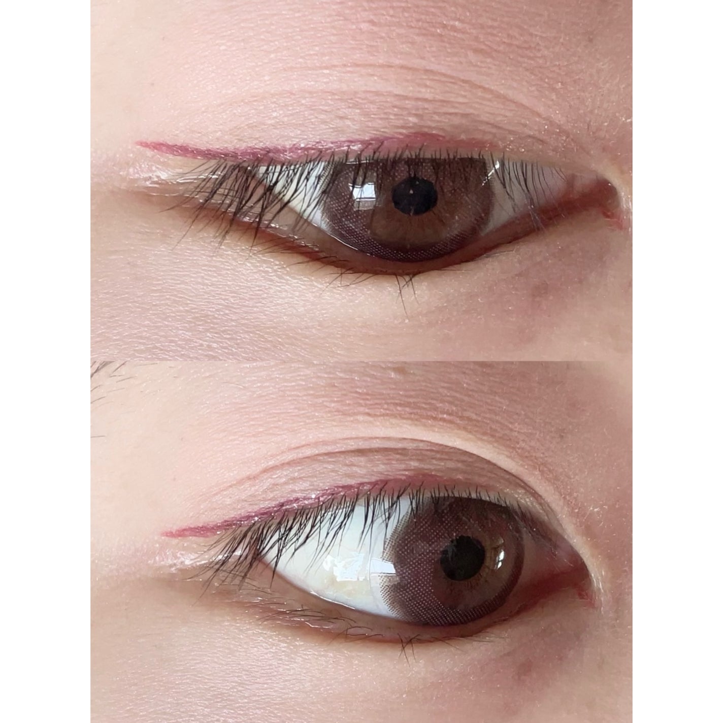 エバーカラーワンデー ナチュラル/エバーカラー/ワンデー(1DAY)カラコンを使ったクチコミ(2枚目)