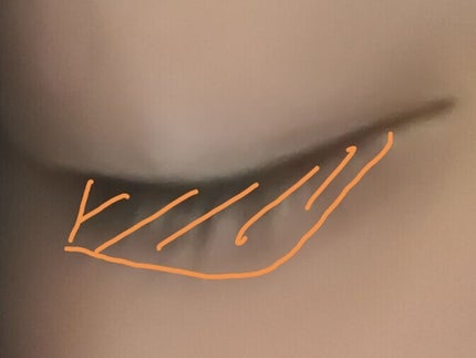 ローヤルゼリー配合 栄養ローション/DAISO/美容液を使ったクチコミ(4枚目)