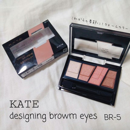 デザイニングブラウンアイズ/KATE/アイシャドウパレットを使ったクチコミ(1枚目)