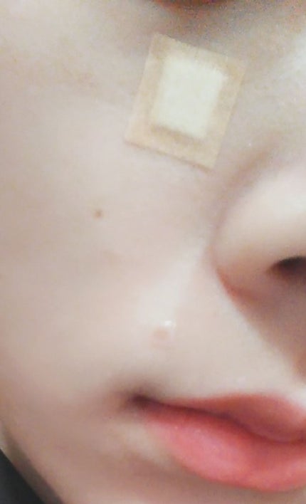 を使ったクチコミ(2枚目)