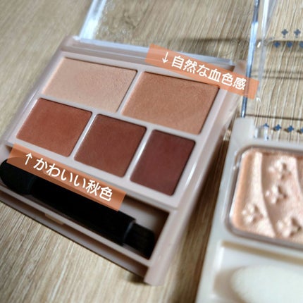 パーフェクトマルチアイズ/キャンメイク/アイシャドウパレットを使ったクチコミ(5枚目)