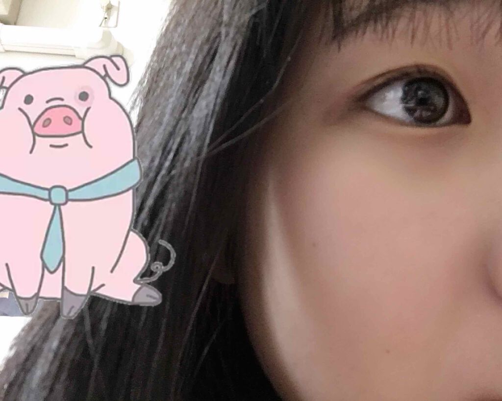 カラールースパウダー/毛穴パテ職人/ルースパウダーを使ったクチコミ（3枚目）