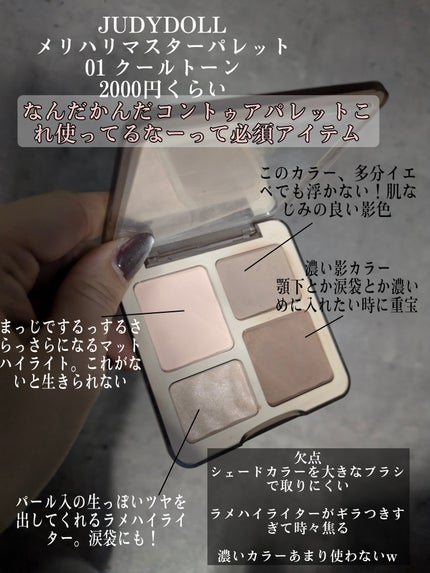フィー フェザーライクデュアルハイライターブラシ/fwee/メイクブラシを使ったクチコミ(3枚目)
