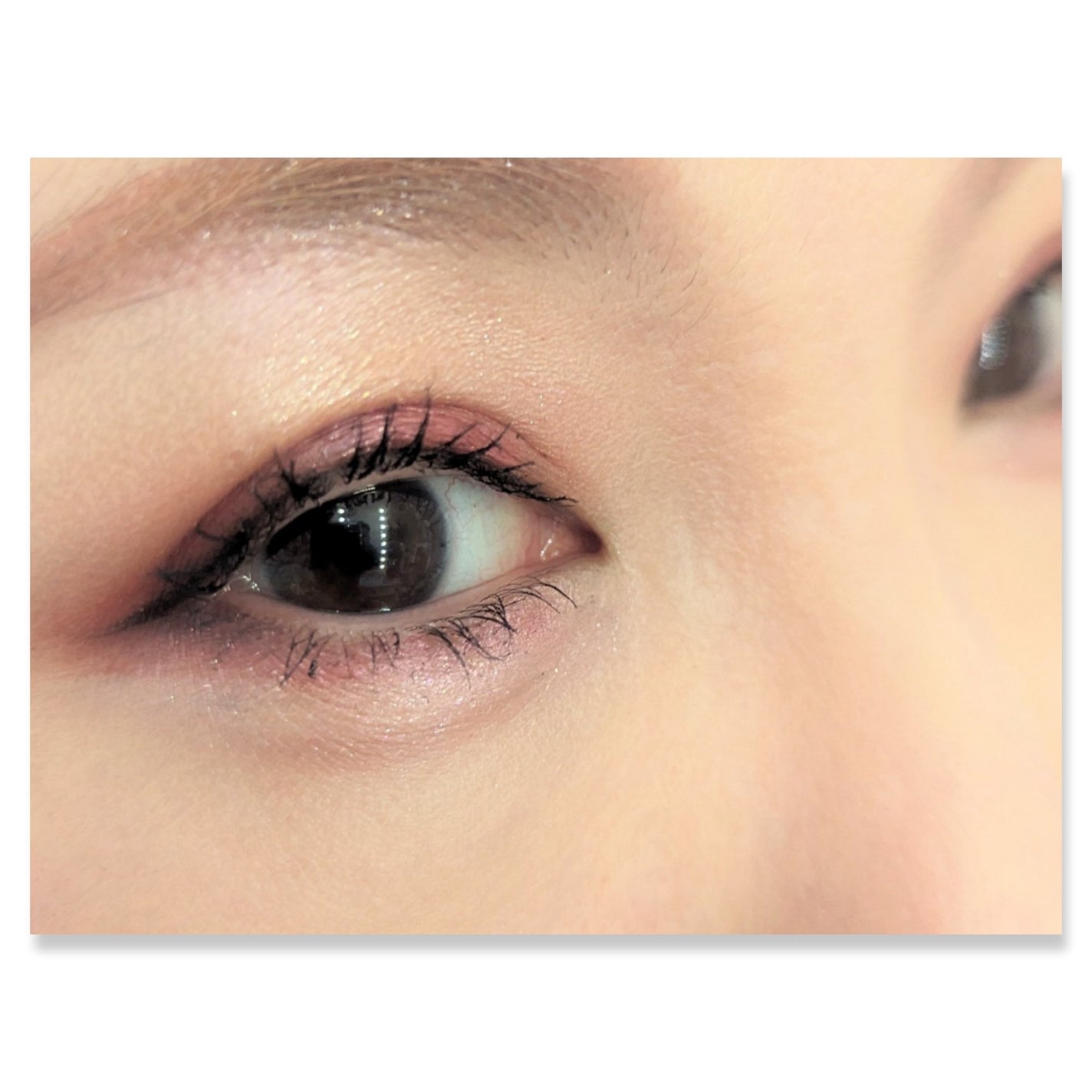 ディオール バックステージ アイ パレット/Dior/アイシャドウパレットを使ったクチコミ(2枚目)