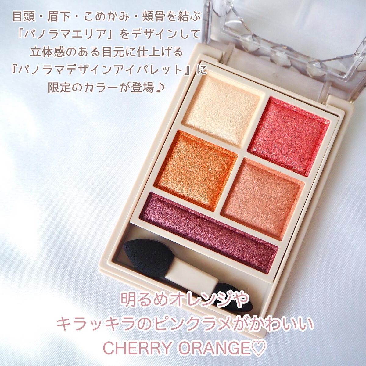 パノラマデザイン アイパレット/Visée/アイシャドウパレットを使ったクチコミ(2枚目)