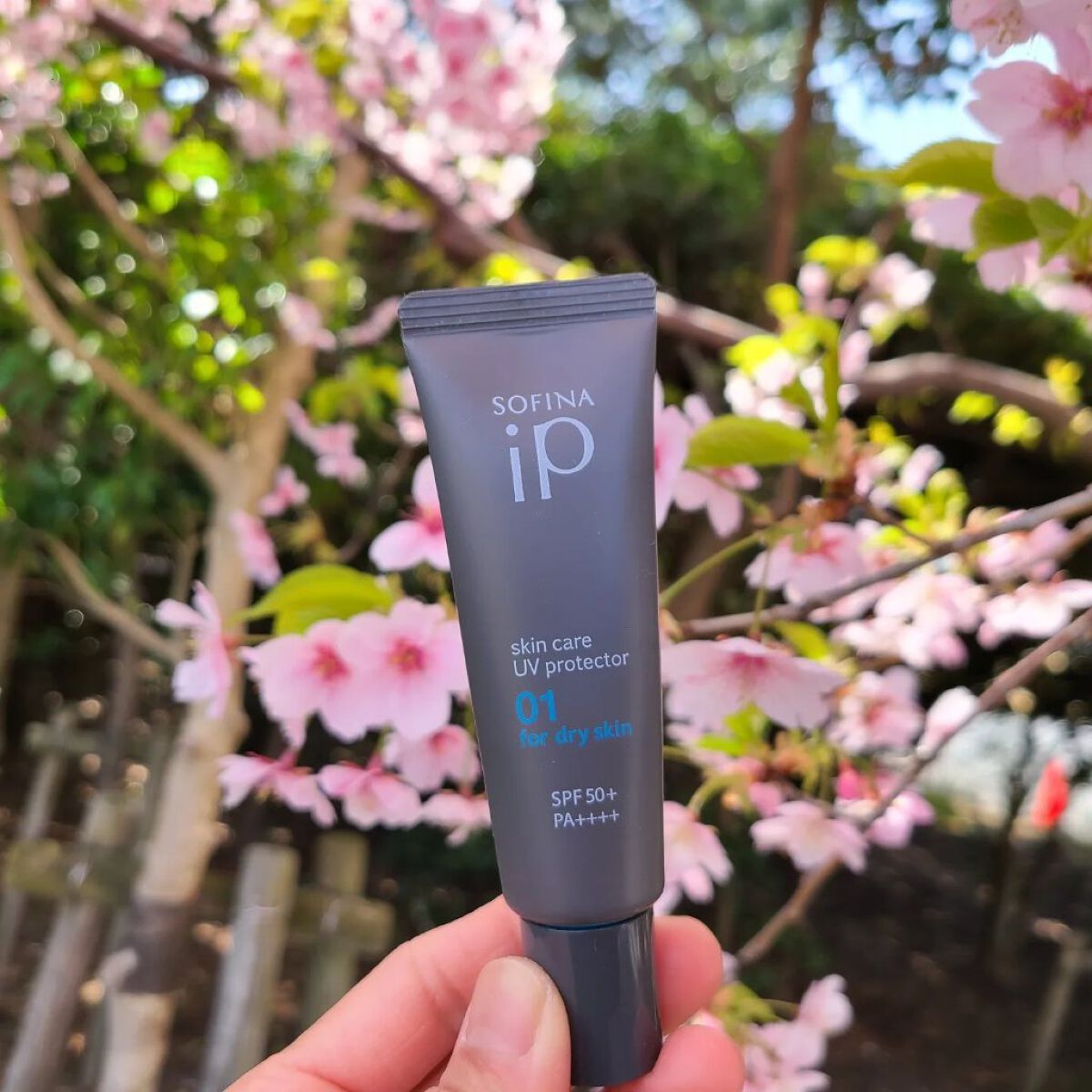 ソフィーナ iP スキンケアUV 01乾燥しがちな肌環境 SPF50+ PA++++/SOFINA iP/日焼け止めクリームを使ったクチコミ（3枚目）